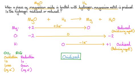 Question Video: Identifying the Oxidized Specie in the Reaction of ...