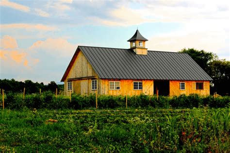 Charlotte farms celebrate Open Farm Week - The Charlotte News