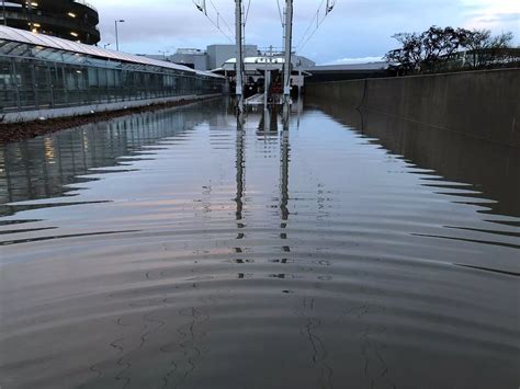 Edinburgh flooding in pictures: photos show extent of disruption as ...