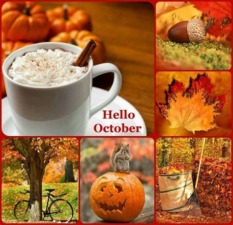 Autumn | Fall 🍁🍂🍃🍊🌰 | Hello october, Hello october images, October images