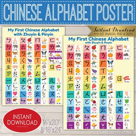 Chinese Alphabet Poster Zhuyin Pinyin Printable 16x20 - Etsy