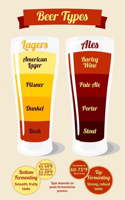 ALE AND LAGER - WHAT'S THE DIFFERENCE? — Colonial Wines & Spirits | Ale ...