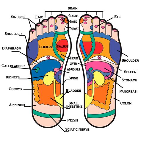 Foot Reflexology