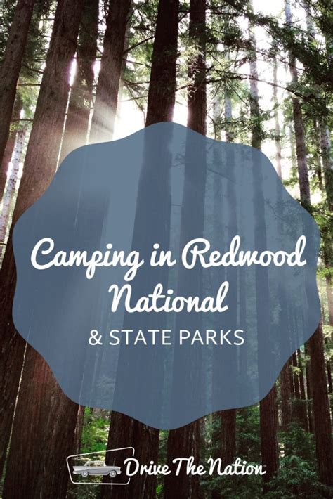 Camping in Redwood National & State Parks | Drive The Nation