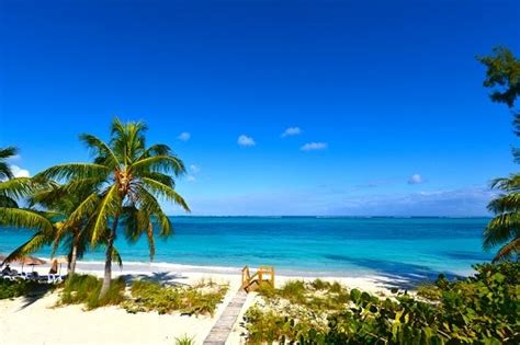 The 8 Best Beaches in Freeport, Bahamas | Carnival Cruise Line