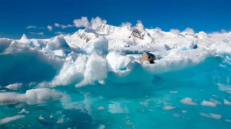 Serenity in Ice: HD Glacier Landscape Wallpaper