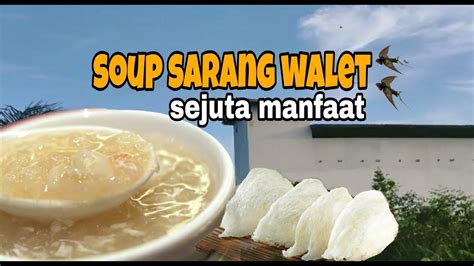 cara buat sup sarang walet || swallow bird nest || sarang burung walet ...