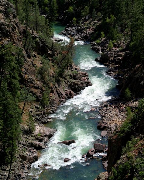 Upper Animas River Rafting - CO Whitewater Rafting | Mild to Wild