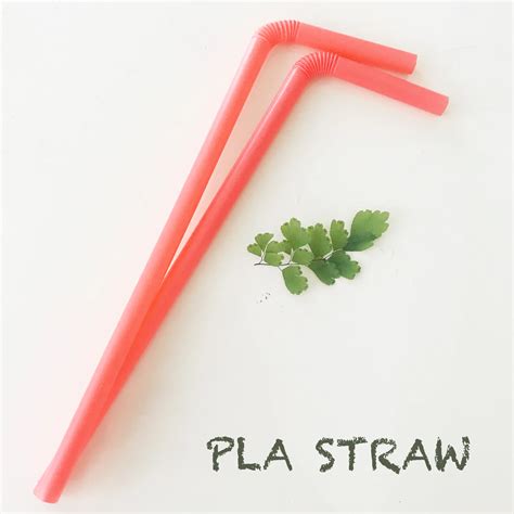 100 Biodegradable Pla Straw With Print For Kitchen Bar - Buy Pla Straw ...