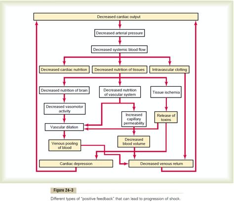 Hemorrhagic Shock Flow Chart