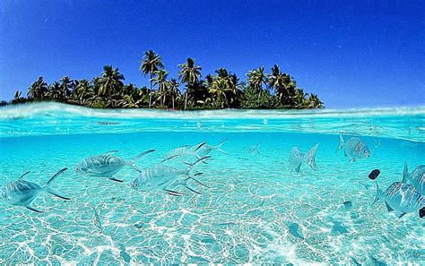 Maldives Beach . Background Gallery, Vietnam HD wallpaper | Pxfuel