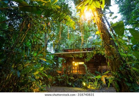 Costa Rica Eco Lodge Rainforest Puerto Stock Photo (Edit Now) 318740831