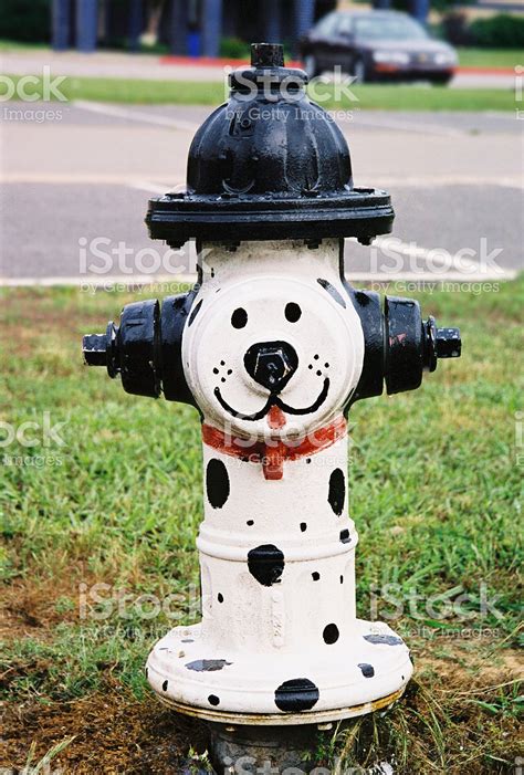 Dalmation Painted Hydrant | Fire hydrant craft, Fire hydrant, Street art