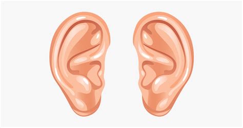 Ear Download Png - Human Ear Ear Clip Art, Transparent Png ...