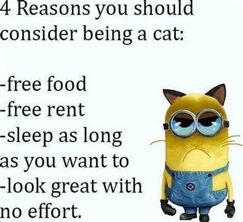 25 Hilarious New Minions Memes Funny Enough To LOL At | Funny minion ...