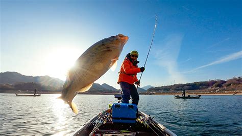 GoPro Fishing Guide: Tips for Mounting Your Camera