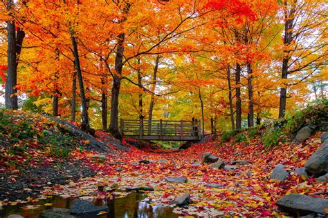 First Day of Fall: Fun Facts About the Fall Equinox | Reader's Digest