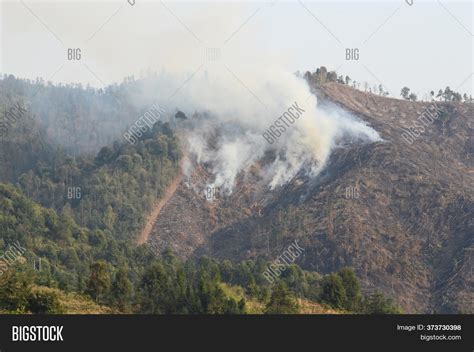 Forest Smoke After Image & Photo (Free Trial) | Bigstock