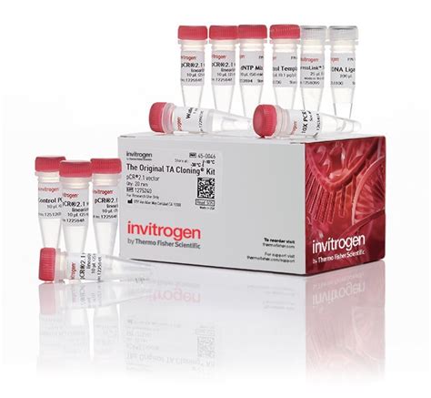 TA Cloning™ Kit, with pCR™2.1 Vector, without competent cells