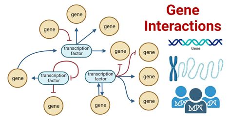 Examples Of Interaction