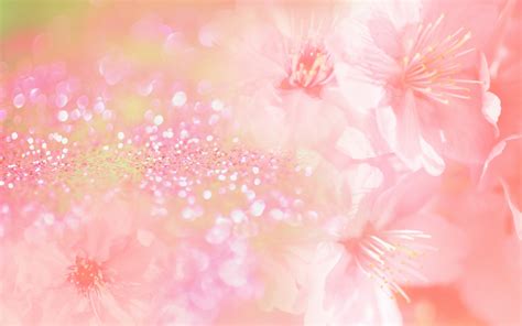 Pink Backgrounds Free Download