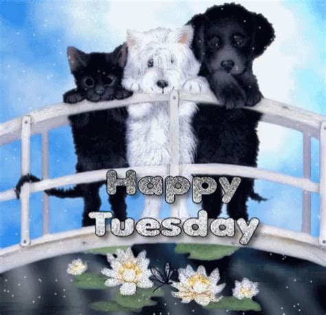 Happy Tuesday Dogs GIF - HappyTuesday Dogs - Discover & Share GIFs