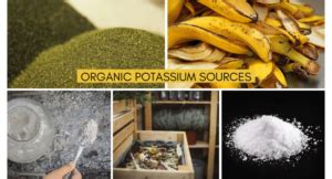 Organic Sources of Potassium for Plants | Organic Potassium Sources