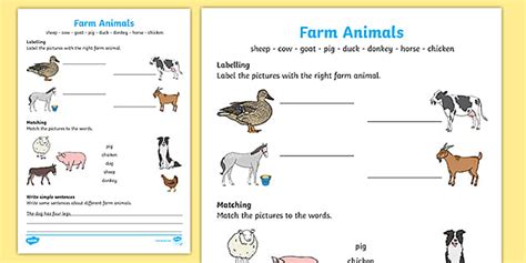 Farm Animals Worksheets for Kids (Teacher-Made) - Twinkl