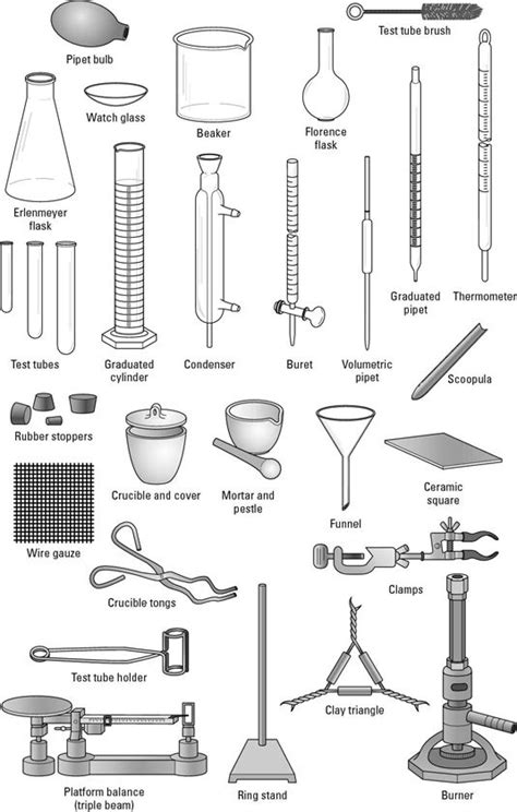 Diagram of common lab equipment, such as an Erlenmeyer flask, beaker ...