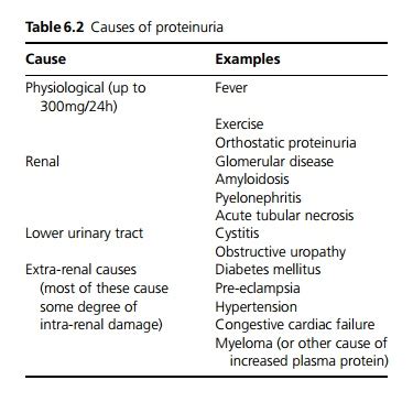 Proteinuria - Investigations and procedures