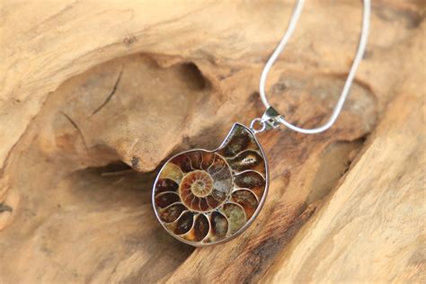 SMALL AMMONITE NECKLACE - Silver plated - Fossil - Crystal Necklace ...