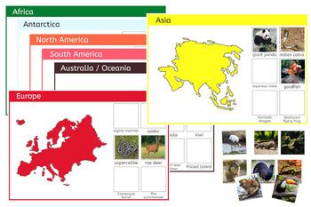 Animals of the 7 Continents - Montessori Sorting by IFIT Montessori