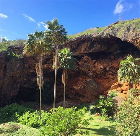 The Makauwahi Cave in Poipu | A Historical Kauai Adventure