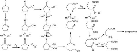 Probable mechanism of oxidation cyclopentanone to glutaric acid, based ...