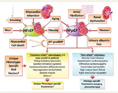 Figure 1 from Heart failure with preserved and reduced ejection ...