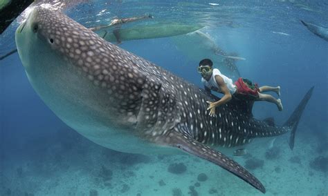 The touching scenes of friendship between Filipino fishermen and the ...