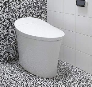 5 Best Bidet Toilet Combos - (2020 Reviews & Buyer's Guide)