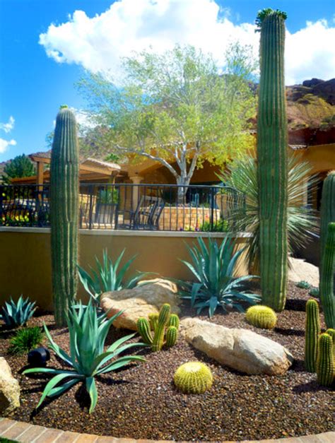 Review Of Desert Landscaping Ideas Backyard 2022