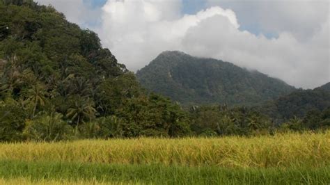 Pulau Bawean | Gunung Bagging