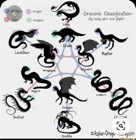 A Dragon Classification Chart : r/mythicalcreatures