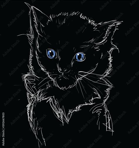 Vector Illustration of Adorable Blue-Eyed Cat on Black. Sketched Little ...