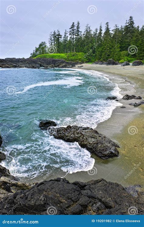 Coast of Pacific Ocean in Canada Stock Photo - Image of nature, sand ...