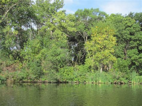 Kayaking the Lakes of South Dakota: Split Rock Lake (MN)