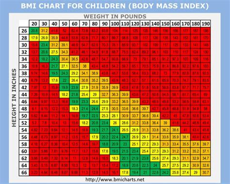 Children Body Composition; Body Mass Index chart