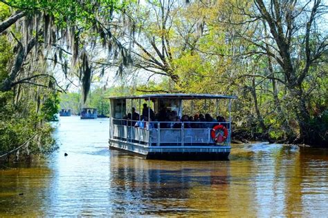 16 Best New Orleans Swamp Tours - TourScanner