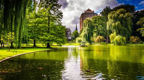 Boston, Massachusetts, USA, park, trees, pond, grass wallpaper | travel ...