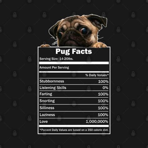 Pug Facts - Pug - T-Shirt | TeePublic