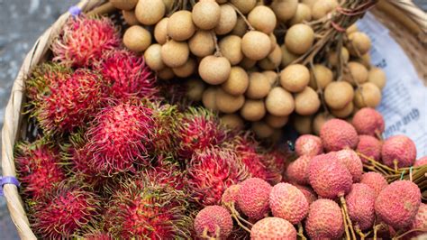 Lychee Vs. Rambutan Vs. Longan: How Are They Different?