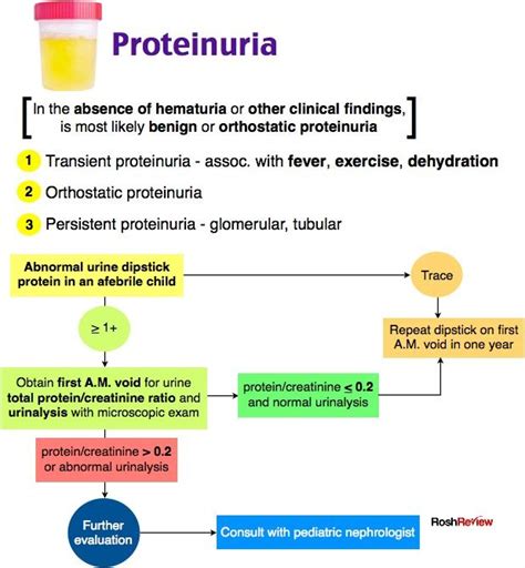 Proteinuria | Pediatrics, Pediatric medicine, Med student notes