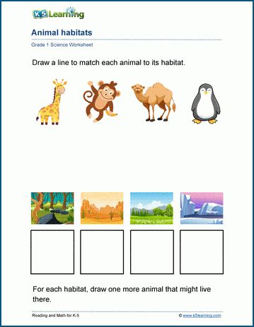 Animal Habitats Worksheets For Grade 1-3, 43% OFF